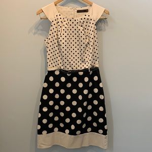 The Limited polka dot dress